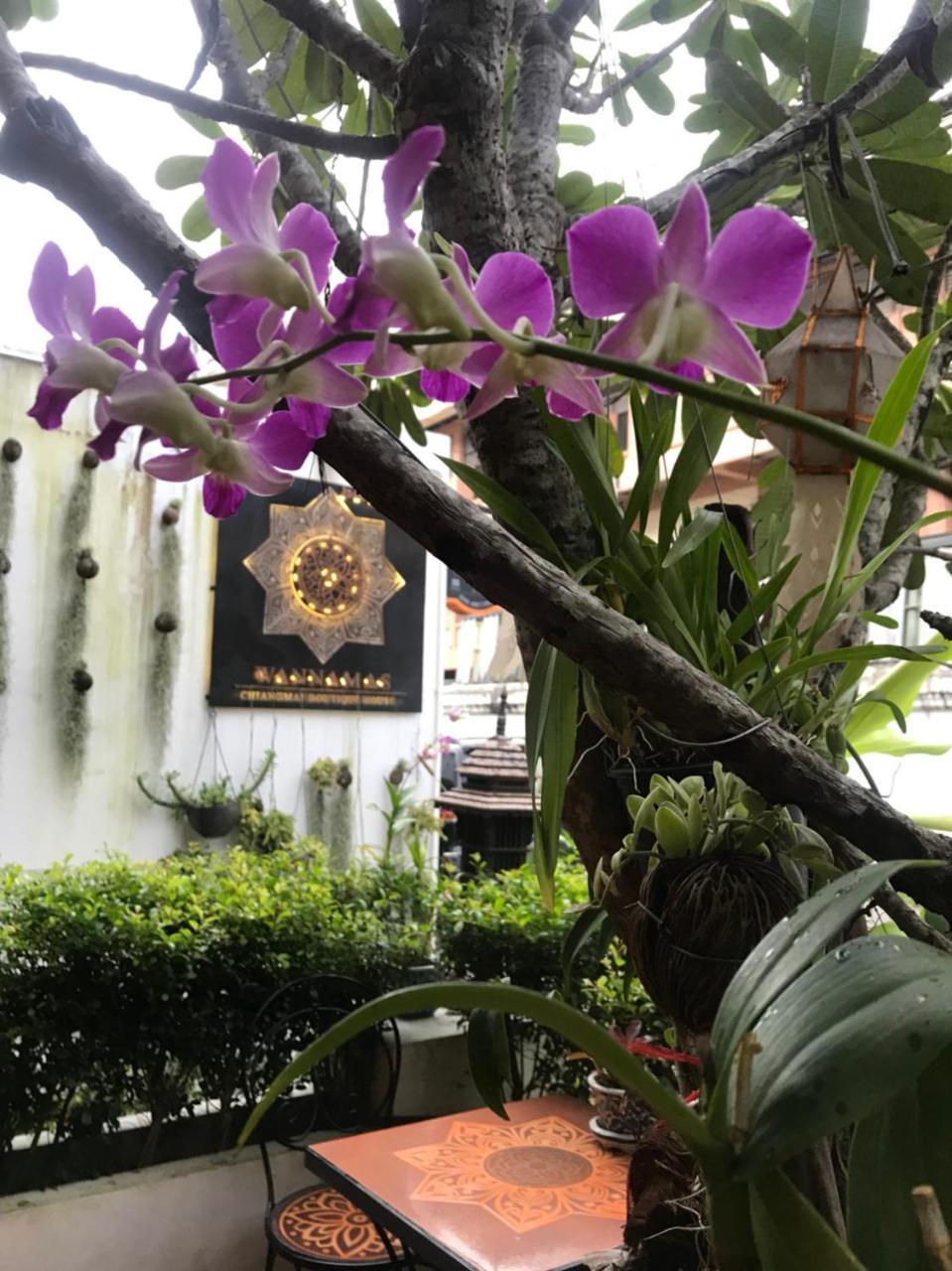 Wannamas Chiangmai Boutique House Ξενοδοχείο Τσιάνγκ Μάι Εξωτερικό φωτογραφία